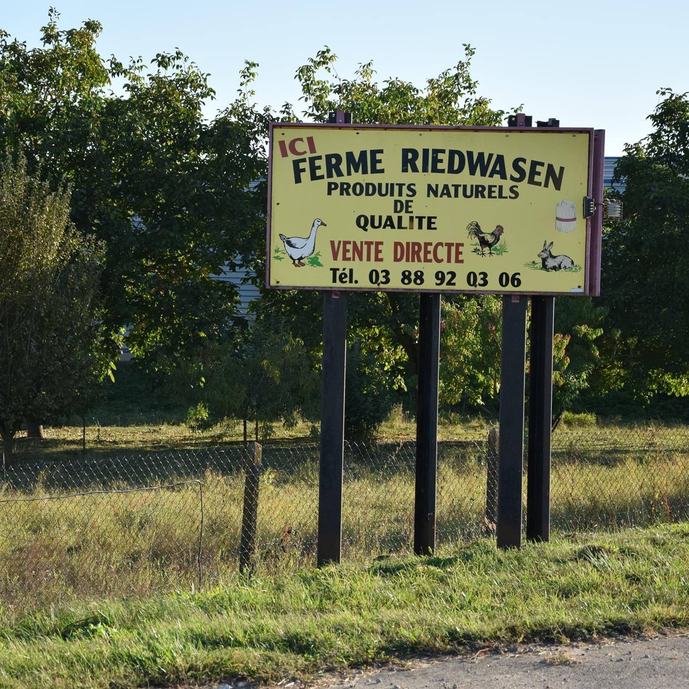 Grande Ferme du Riedwasen